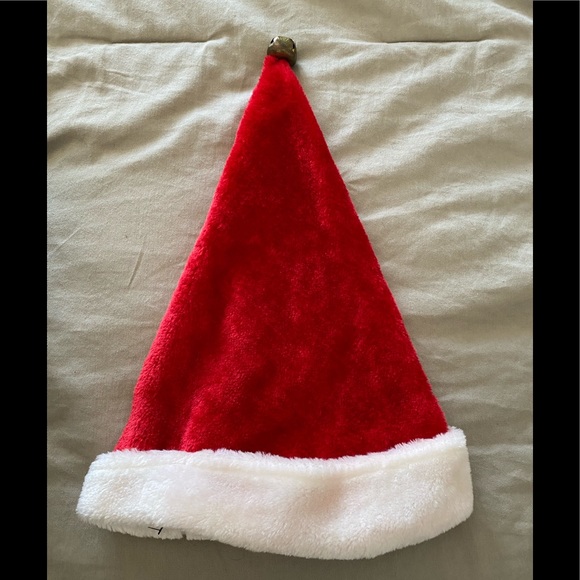 ⭐️🌴Santa Hat - Picture 1 of 3